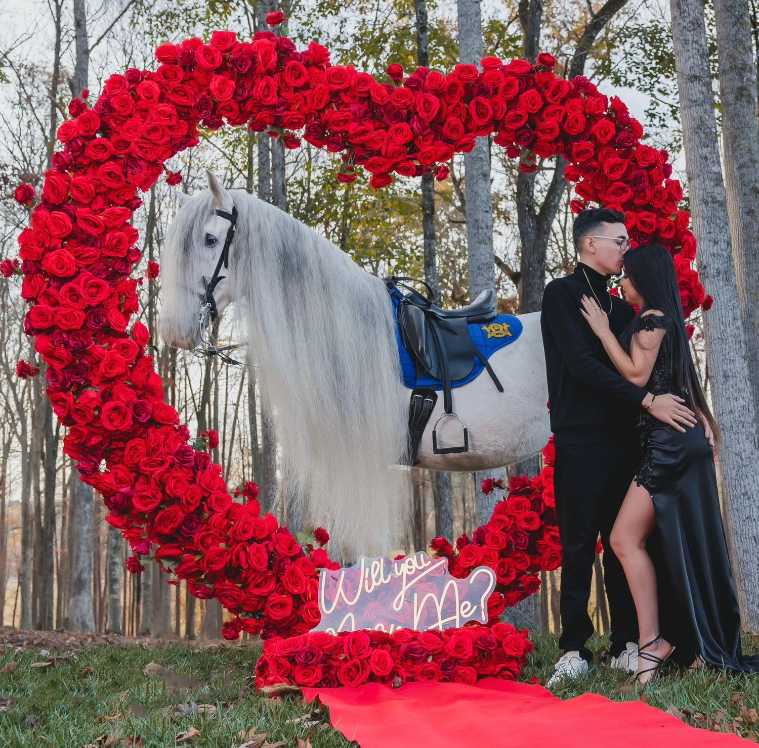 Engagement Proposal